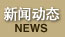 逐梦国际 0a50a